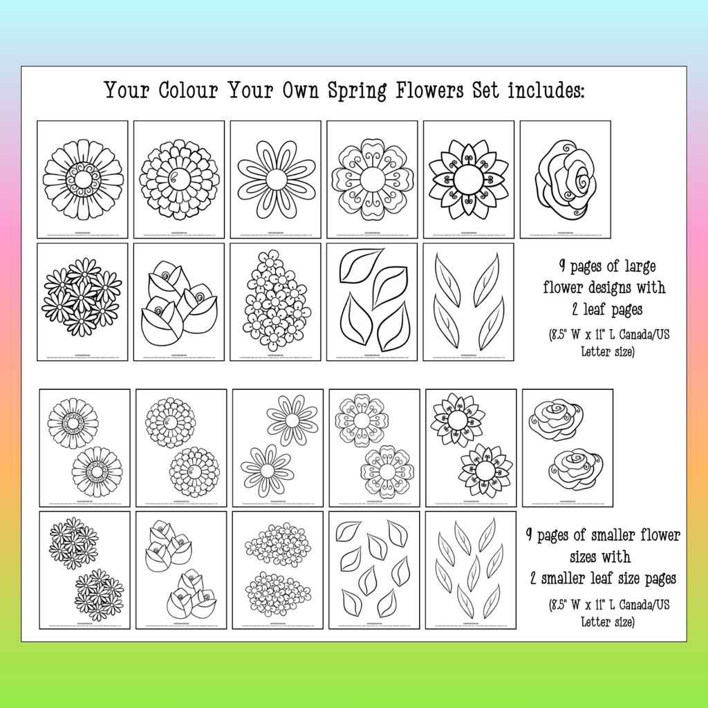 Colour Your Own Spring Flowers – Printable PDF